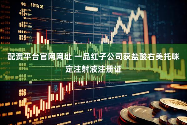 配资平台官网网址 一品红子公司获盐酸右美托咪定注射液注册证