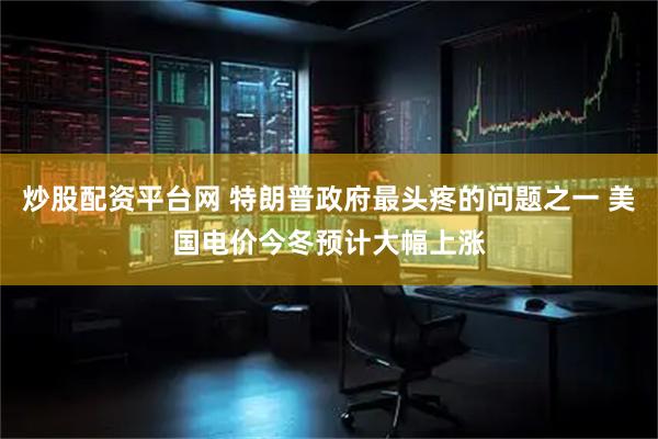 炒股配资平台网 特朗普政府最头疼的问题之一 美国电价今冬预计大幅上涨